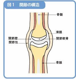 第５回 総論 老齢管理で大切な病気 関節疾患